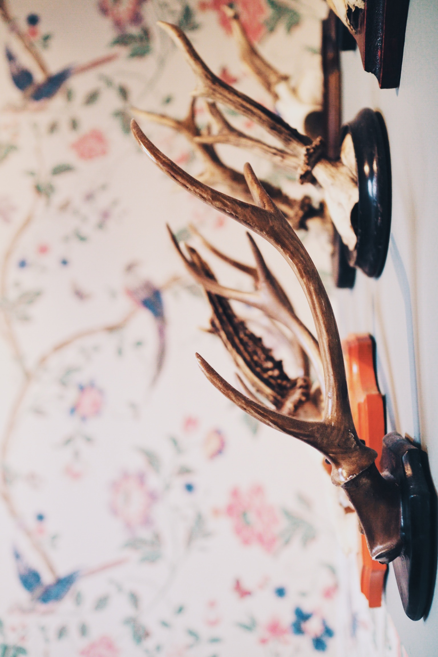 Processed with VSCO with a2 preset