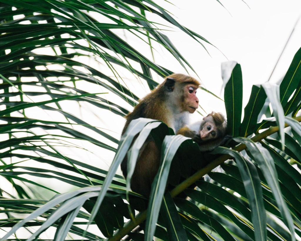 I see no&nbsp;difference