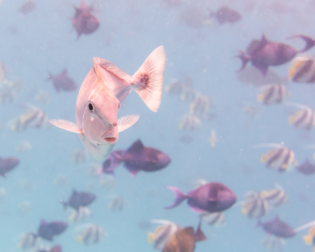 The gang’s all&nbsp;here