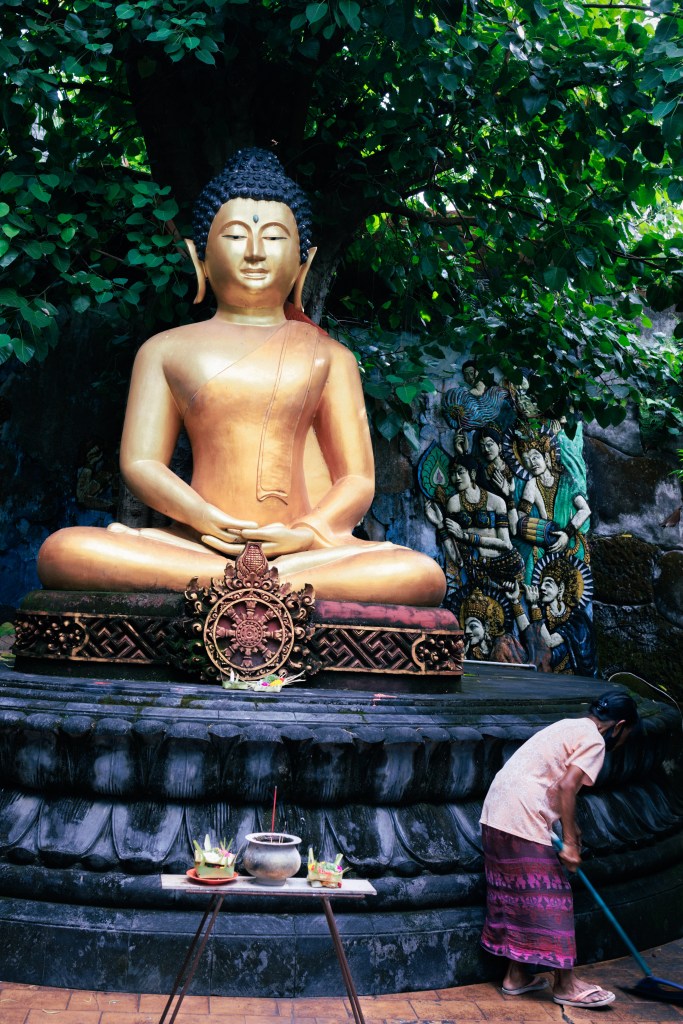 Balinese woman cleaning the temple grounds at Brahmavihara Arama temple close to Lovina north Bali next to a statue of the Buddha 