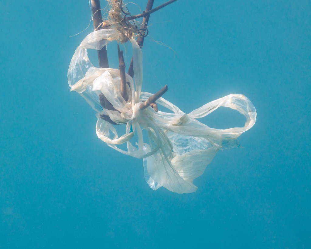A bag of plastic attached to a hook in the sea photographed in Indonesia with an underwater camera