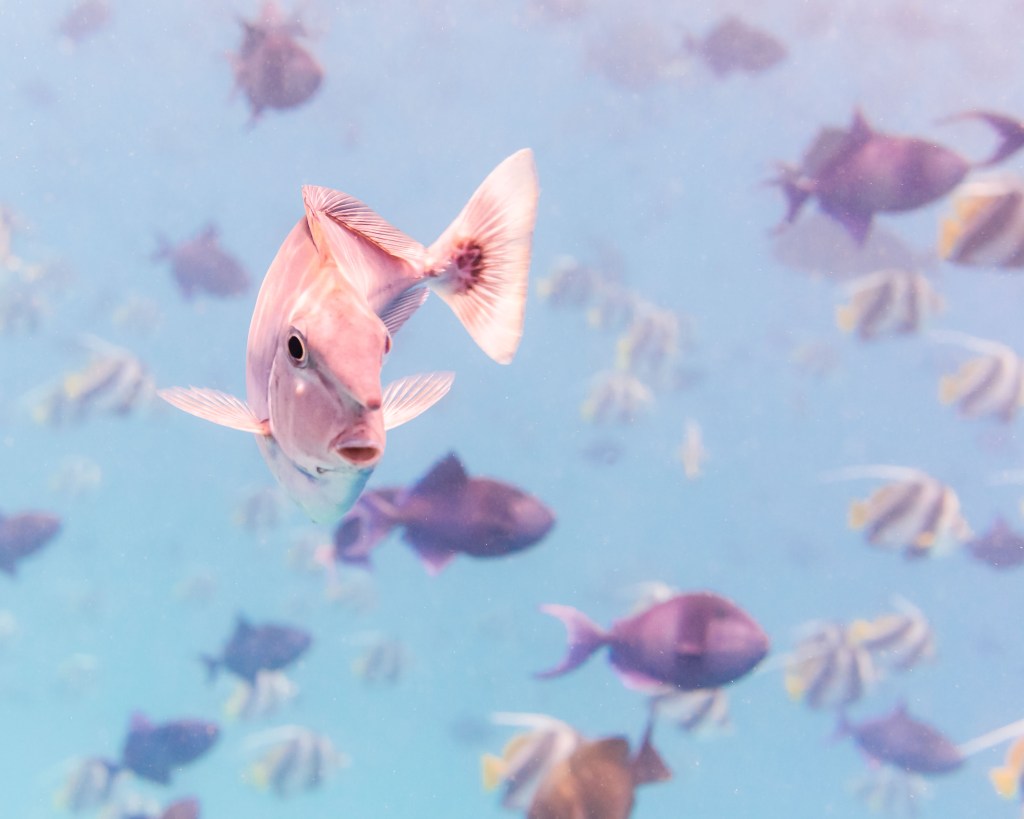 Planket 2025 – Photo exhibition in&nbsp;Stockholm