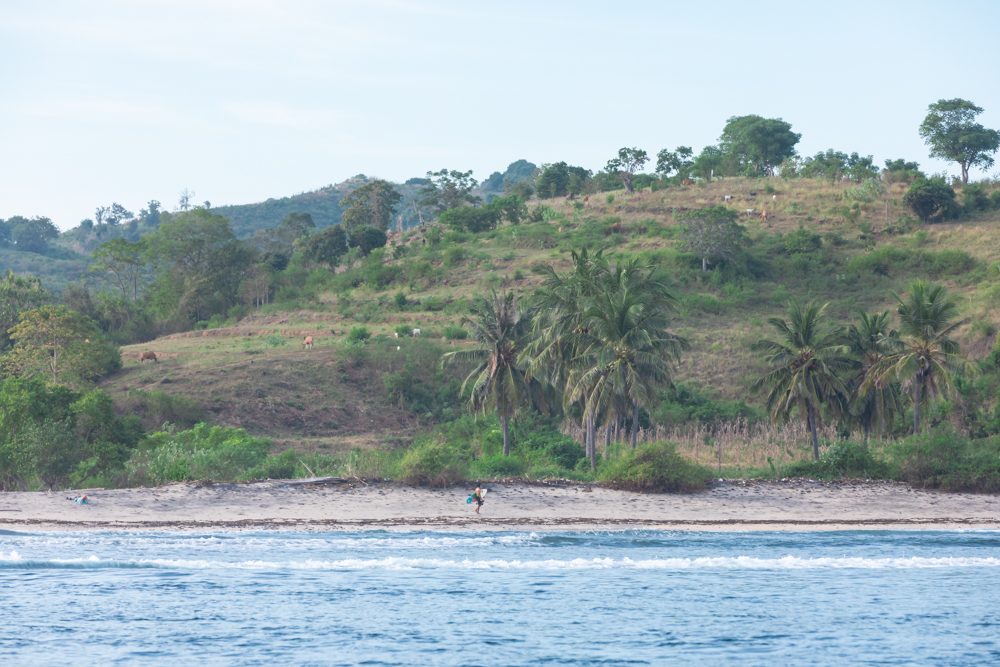 One surfer at the beach at Desert Point, Lombok, Indonesia